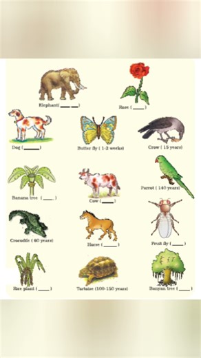 Reproduction in Organisms Biology Made Eazy NCERT NEET @bioneetirrg