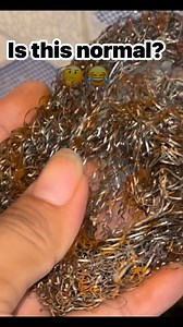 Anyone else’s steel wool rust this quick??🤔 Isliye kabhi bhi sasta saman pe nahi jana chahiye 🙏 #vishal😆✊ #reelsfbシ #reelsindia #fyb #funnyreels #rusting #kitchenlife | Numi Numi