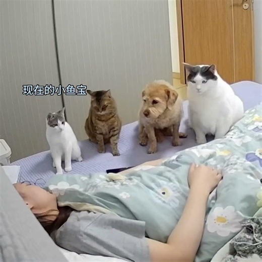 Patience is Key: Baby's Growth Story Unveiled