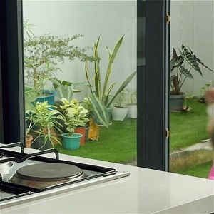 Satisfy your pet's cravings with meat-first goodness 數 At...