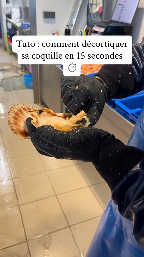 3.7K views · 437 reactions | Décortiquer une coquille Saint-Jacques,...