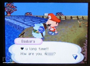 Animal Crossing: Wild World