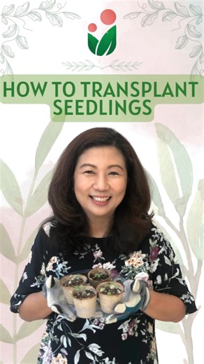 32 shares | Ready to give your seedlings room to grow? 華 In this...