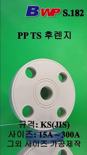 PP 후렌지. PP TS 후렌지. PP TS Flange. BWP