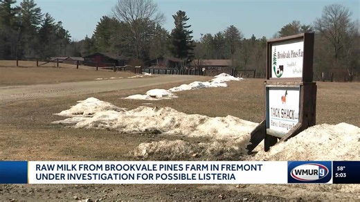 Raw milk from NH farm under investigation after cow tests positive for listeria