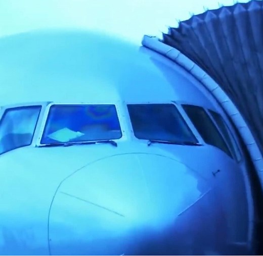 Milagro de Supervivencia: Vuelo Air France 358