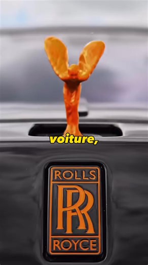 Les petits gadgets qu’ils ont mis dans les Rolls Royce sont vraiment incroyable. #voiture #rolls #rollsroyce #voitures #vehicule