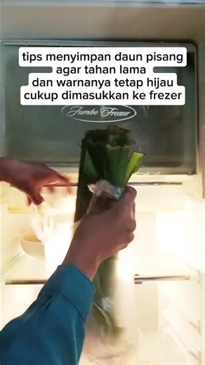 cara menyimpan daun pisang agar tahan lama dan warna nya tetap hijau #fypシ #tipspraktis #lifehacks