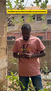 17K views · 510 reactions | Powerful herbs for spiritual cleansing  | Aziz Explores | Facebook