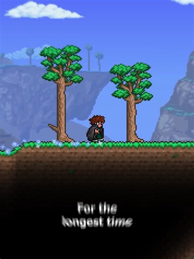 The Crazy Void Bag in Terraria: A Summoner's Guide