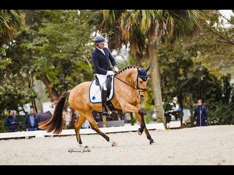 Summer ISF, First Level Win - Developing Dressage Horse at Iron Spring Farm - 2026