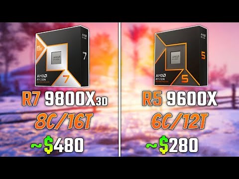 AMD RYZEN 7 9800X3D vs RYZEN 5 9600X | Test in 6 Games