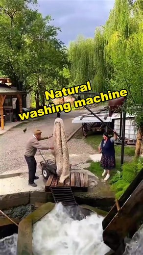 The inventor of the natural washing machine is really a genius#popula... | Gossip Watch