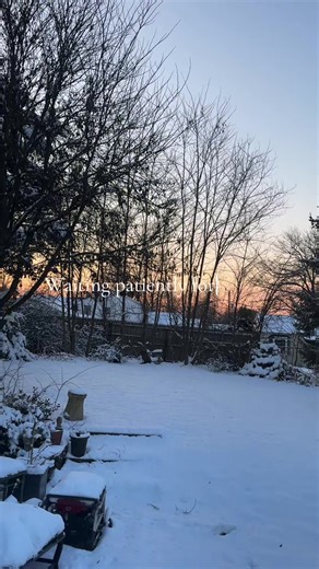 adirtygirlsgarden (@adirtygirlsgarden)’s videos with Once Upon a Time - Austin Farwell