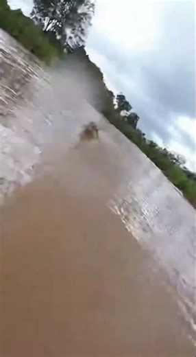 Crocodile ATTACKS GoPro At Muddy River!