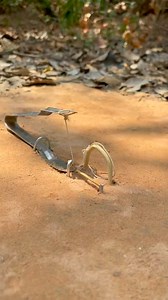 5M views · 9.1K reactions | #restaurant #recipe #repost #review #realtor #reviewphim #reelschallenge #realestatetips #reelschallenge #realtor #reviewphim #review #recipe #restaurant #repost #fbreelsfypシ゚viral #fbreelsfypシ゚viral #fbreels #reelschallenge #realestatetips #realtor #reviewphim #review #recipe #restaurant #repost | Trap wild animals | Facebook