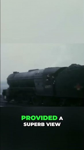 1960s York 100+ Locomotives Await At North Depot! #YorkStation, #SteamTrains #fyp #fypシ