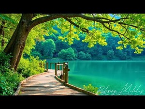 Relaxing Music Without Lyrics - Music to Soothe Anxiety 🌿 Find Calm and Relieve Stress Quickly.