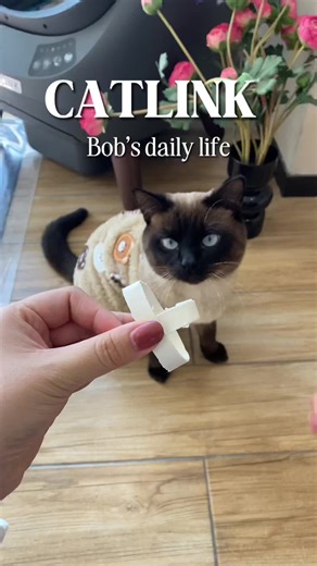 Automatic Cat Litter Box for Easy Cat Care