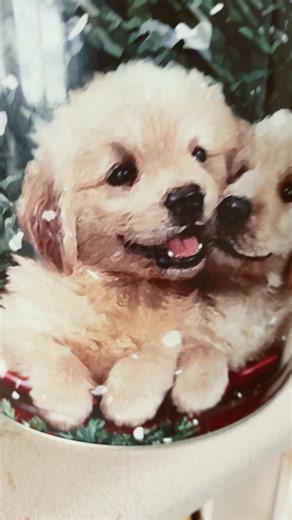 Superman soldier and the movie 🍿