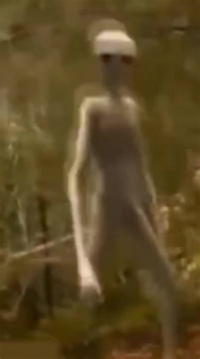 Close-Up of a Tall Grey Alien from Zeta Reticuli B