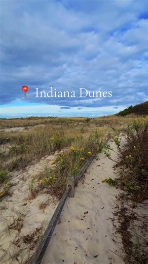 Indiana Dunes State Park: Stay Near the Beach