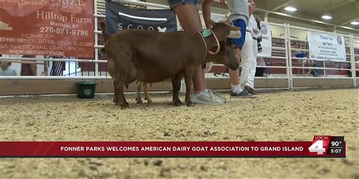 Fonner Park hosts the American Dairy Goat Association National Show