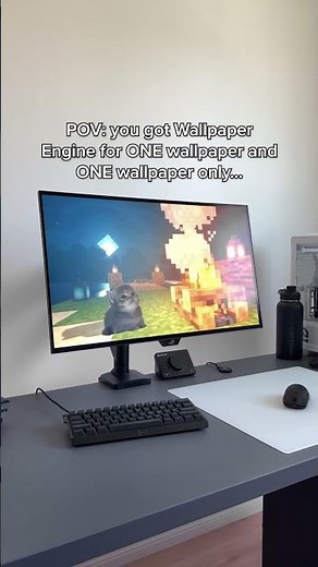 POV: you got Wallpaper Engine for ONE Wallpaper 😭