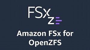 Amazon FSx for OpenZFS Resources