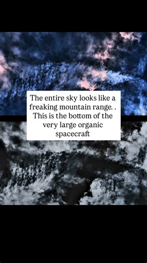 Brian Ladd | This is my alien son Skye and alien bird episode for February 15, 2026 Port St. Lucie Florida looking at a beautiful Alien Mothership... | Instagram