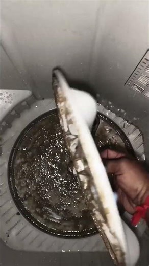 Deep Clean Washing Machine at Home #shorts #vairal