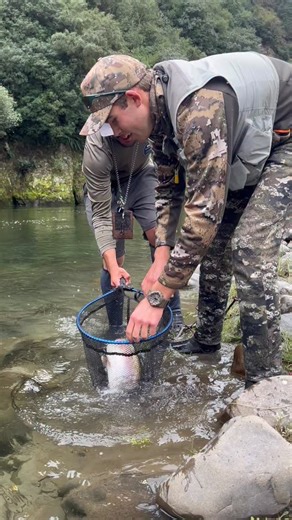 22 reactions | FLY FISHING IN NEW ZEALAND AT MOHAKA RIVER FARM Whether you are a fly fishing pro, a complete beginner, or somewhere in between on your fly fishing journey, you will have an unforgettable experience fishing the Mohaka, Tukituki or Rangitaiki with our fly fishing guides, led by Noah Shapiro. For more information, visit https://mohakariverfarm.co.nz/fishing | Mohaka River Farm | Facebook