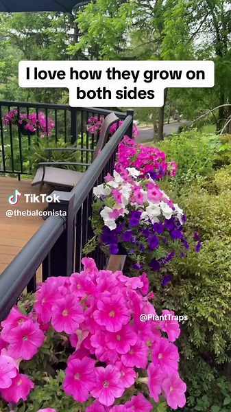 Innovative Patent Protected Railing Planter Solution