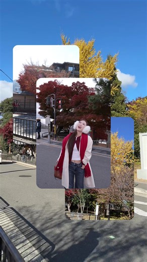 Khám Phá Canon EOS R50: Máy Ảnh Mới Nhất