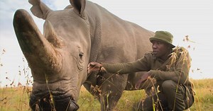 Extinction: The Facts