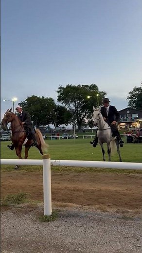 Tennessee Walking Horse Show