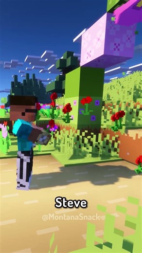 Identity Theft Explained In Minecraft ⛏️ #minecraft #story #funny #explainedinminecraft