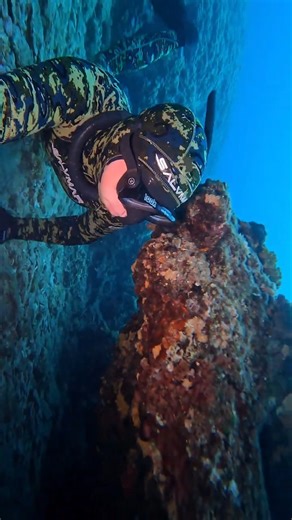 FREEDIVING WITH A SLEEPING SCORPIONFISH 🐡 💤💀 #shorts #onebreath #underwater