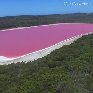 15 shares | Amazing Pink Lake  | Amazing World | Facebook