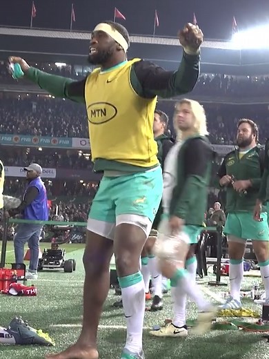 Hilarious Springbok Bench Reactions! Watch Now!