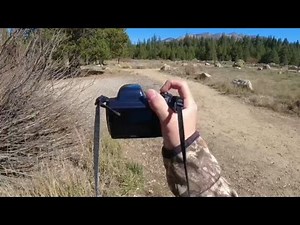 Forest walk POV with the KODAK PIXPRO AZ528