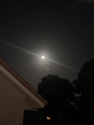 Johnny Majic on Reels