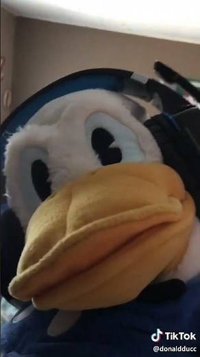 Get Off My Computer Donald Duck Part 7