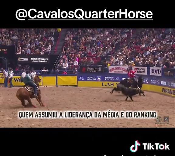 8⁰ ROUND NFR - TEAM ROPING🇧🇷 Nossa dupla laçou duro e fizeram um 3.9 e ficaram em 2⁰ no round. Ainda tem muito pela frente após Clint Summers e Jade Corkill errarem o boi e misturarem a corrida pela média e o ranking mundial. Agora precisamos ir bem nos dois últimos rounds e torcer para as duplas que estão acima cometerem alguns erros. @Cavalos Quarter Horse 📽️🎥: @The Cowboy Channel #quartodemilha #cavalo #teamroping #lacoemdupla #rodeio