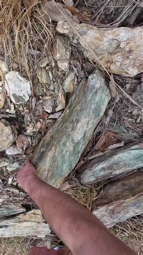 Discovering a Montane Scarlet Kingsnake in Nature