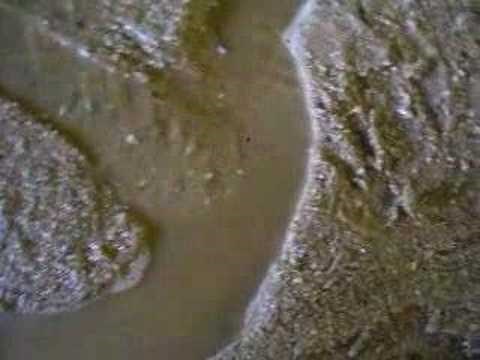 Cut-off and Oxbow Formation on a Stream Table