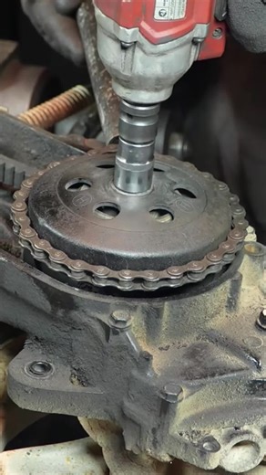 Local Person Clicks Sound and Instantly Regrets It