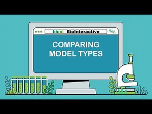 Comparing Model Types