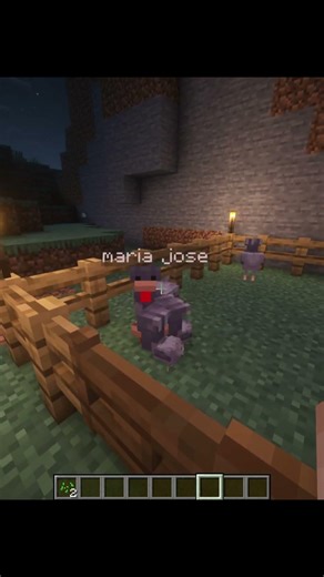 piu 💣🎆 #minecraft #minecrafthumor #memes #minecraftmemes