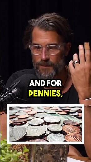 Broccoli vs. Broccoli Sprouts